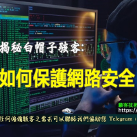 揭秘白帽子骇客：如何保護網路安全