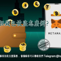 狐狸錢包被盜怎麼辦？完整指南與追回技巧