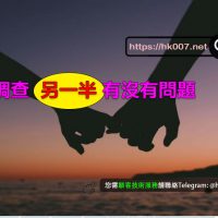 調查另一半有沒有問題