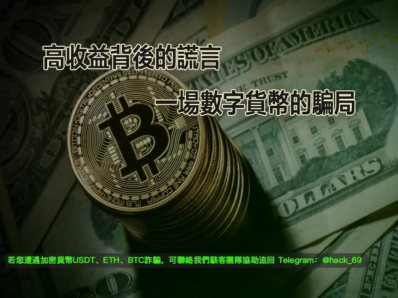 高收益背後的謊言：一場數字貨幣的騙局