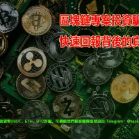 區塊鏈專案投資騙局：快速回報背後的真相